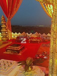 marriage organiser in udaipur